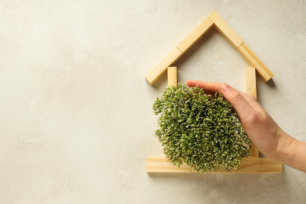 How to Create a Safer Home Environment for Your Family
